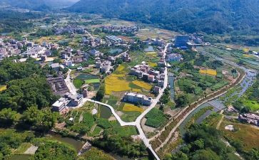 镇乡村振兴调查报告8篇