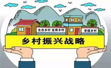 乡村振兴好青年心得体会6篇