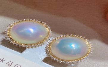 珍珠鸟的作文模板7篇