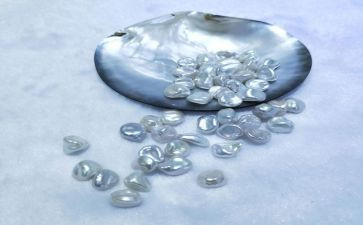 找珍珠教案优秀7篇