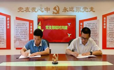 六有党支部有年度工作计划7篇