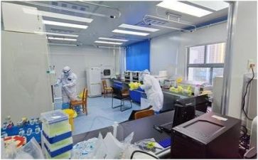 质量工作计划模板7篇