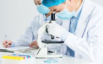 质量月个人总结推荐6篇