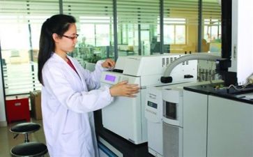 年度质量月工作计划7篇