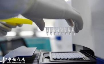 质量工作总结和计划6篇
