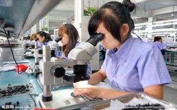 质量月个人总结模板5篇
