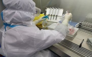 市质量工作总结模板6篇