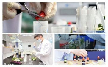 质量标准化的工作总结6篇