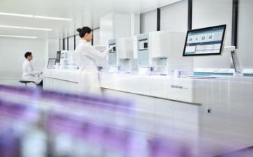 质量的述职报告6篇