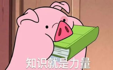 安全知识作文300字6篇