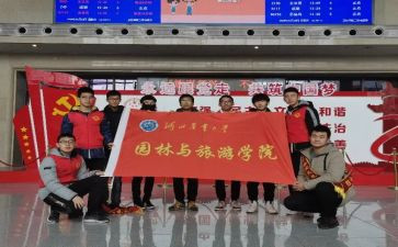 大学生志愿者活动总结推荐6篇