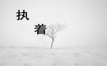 执着的作文800字6篇