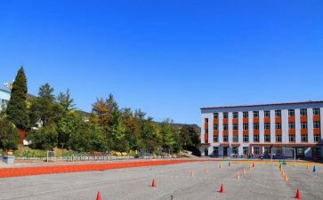 中心校安全工作总结6篇