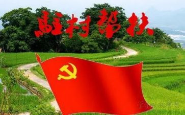 局驻村工作总结参考7篇