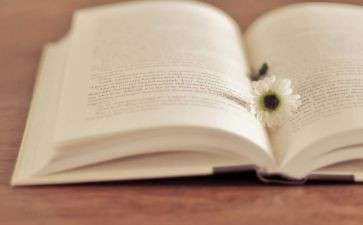 著作出版合同7篇