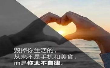 校长廉洁自律述职报告8篇