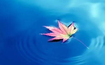 听自然说作文优秀8篇