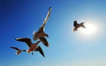 自由论的读后感5篇