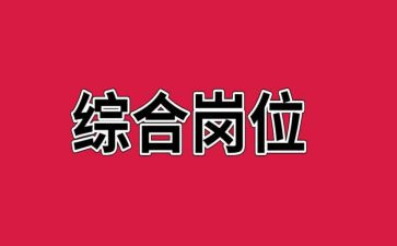 综合岗个人工作总结2023优秀6篇