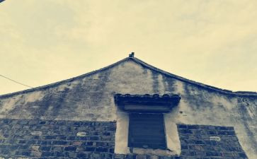 我们走过作文7篇