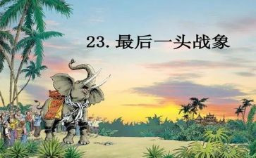 最后一头战象读后感最新8篇