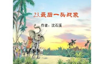最后一头战象读后感5篇