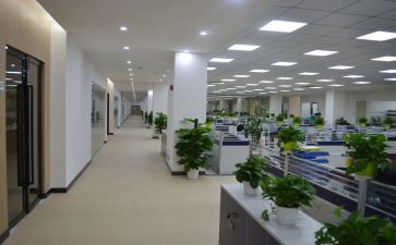 组织室的工作计划推荐8篇
